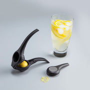 Citrusfacsaró Reszelőbetéttel