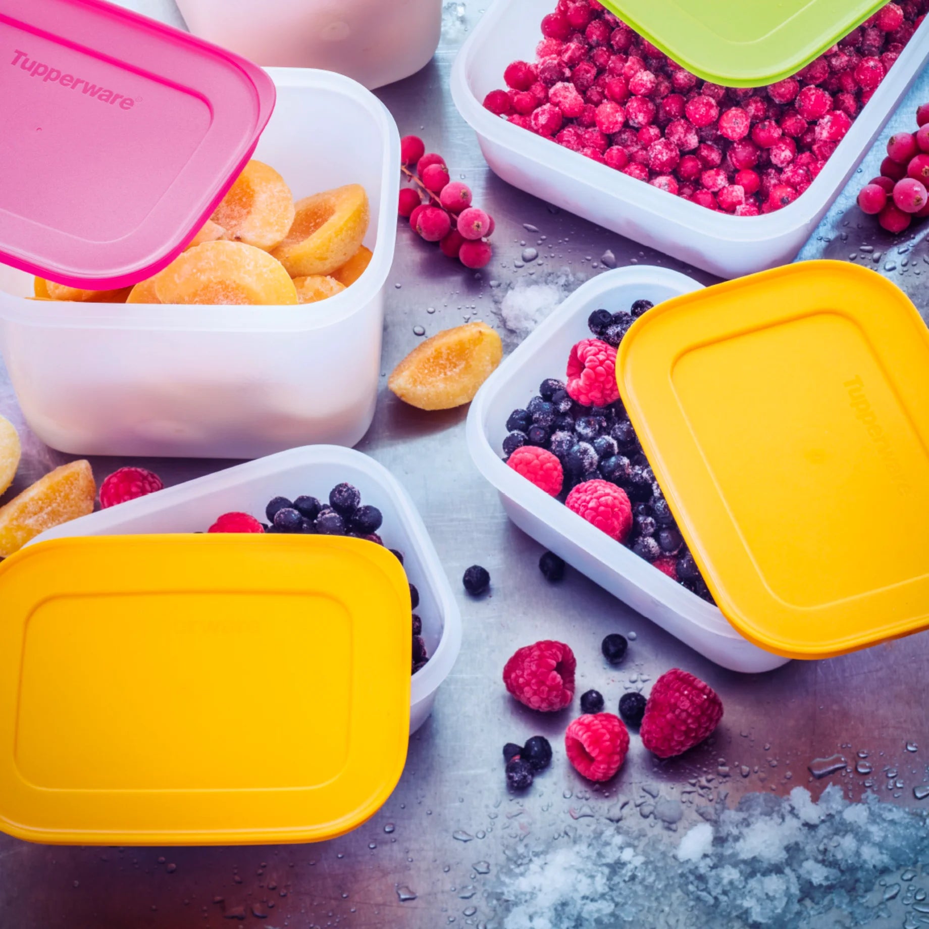 Fagyasztó Társ Haladó Szett (5 db)