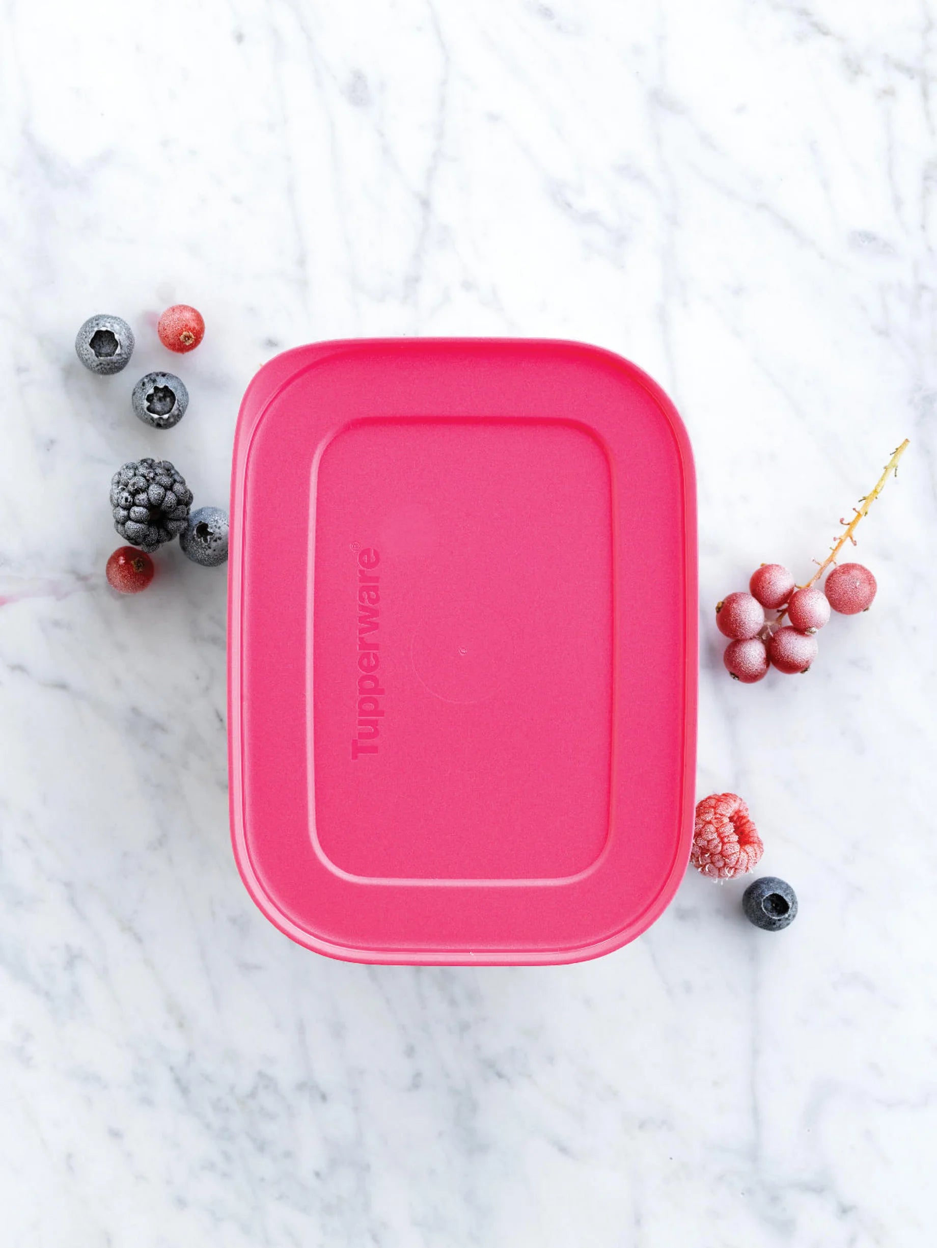 Fagyasztó Társ Midi (2 db)