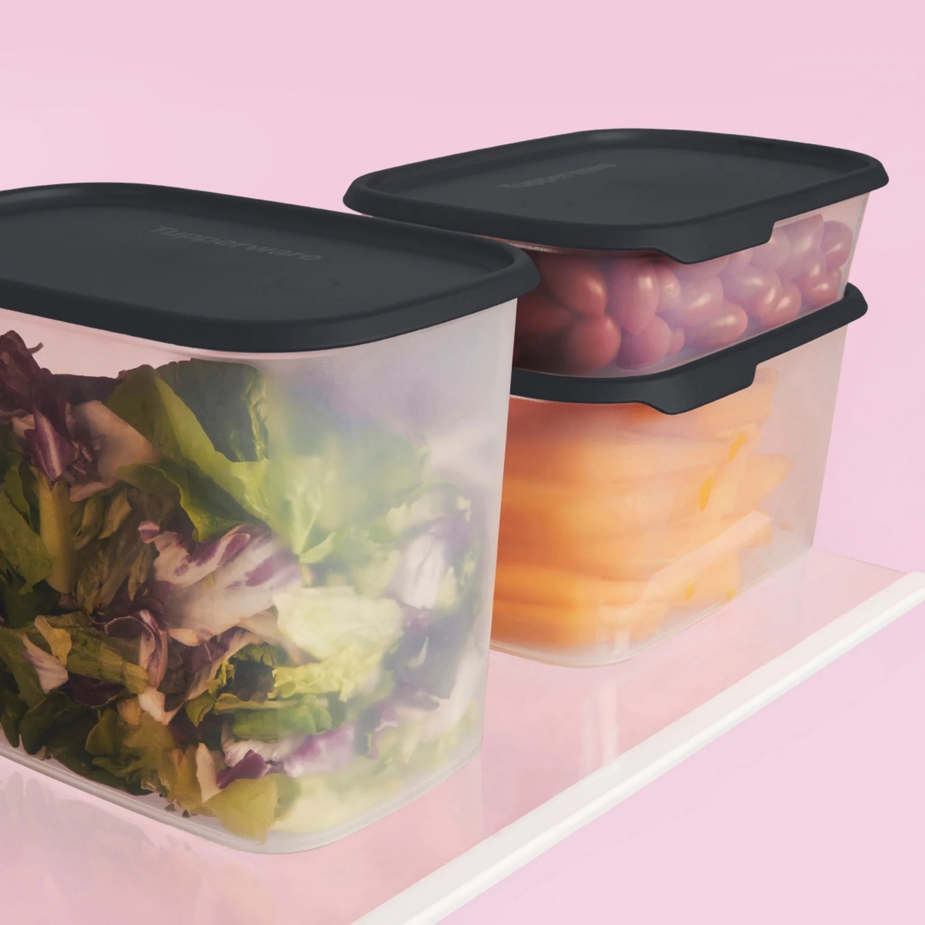 Friss Érintés Szögletes 2,8L