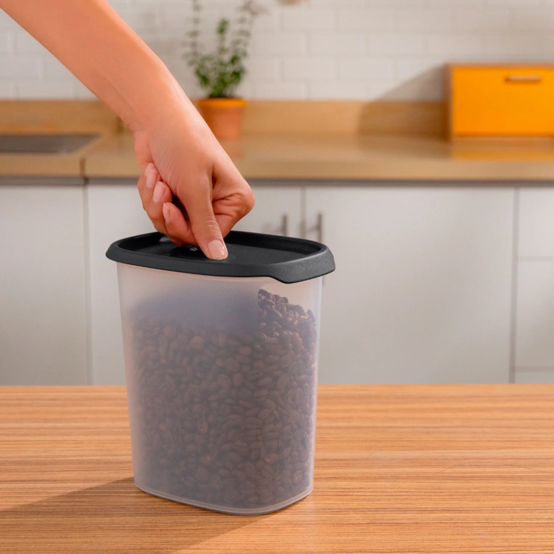 Friss Érintés Ovális 1,8L