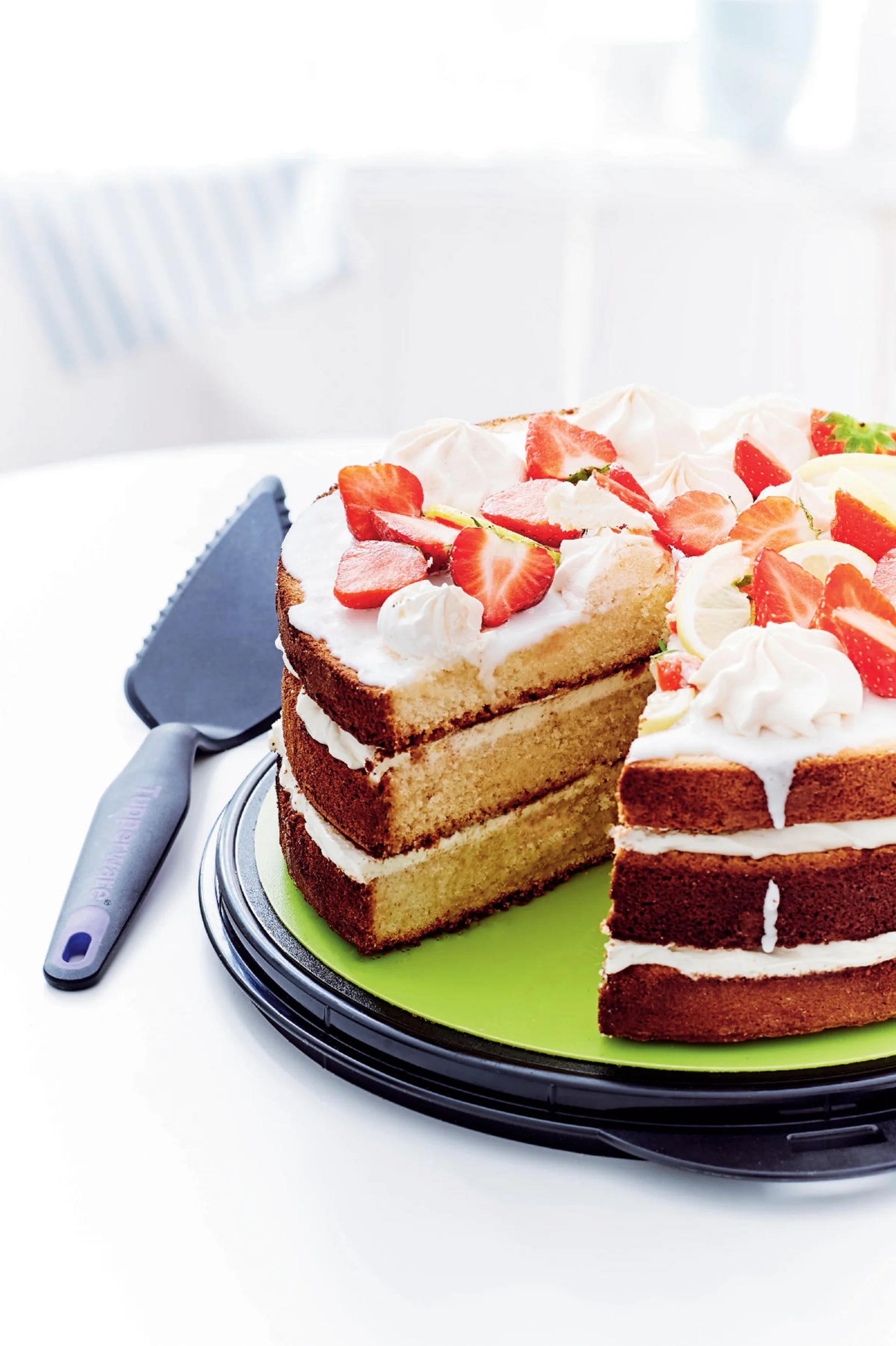Mesterfogás Tortalapát