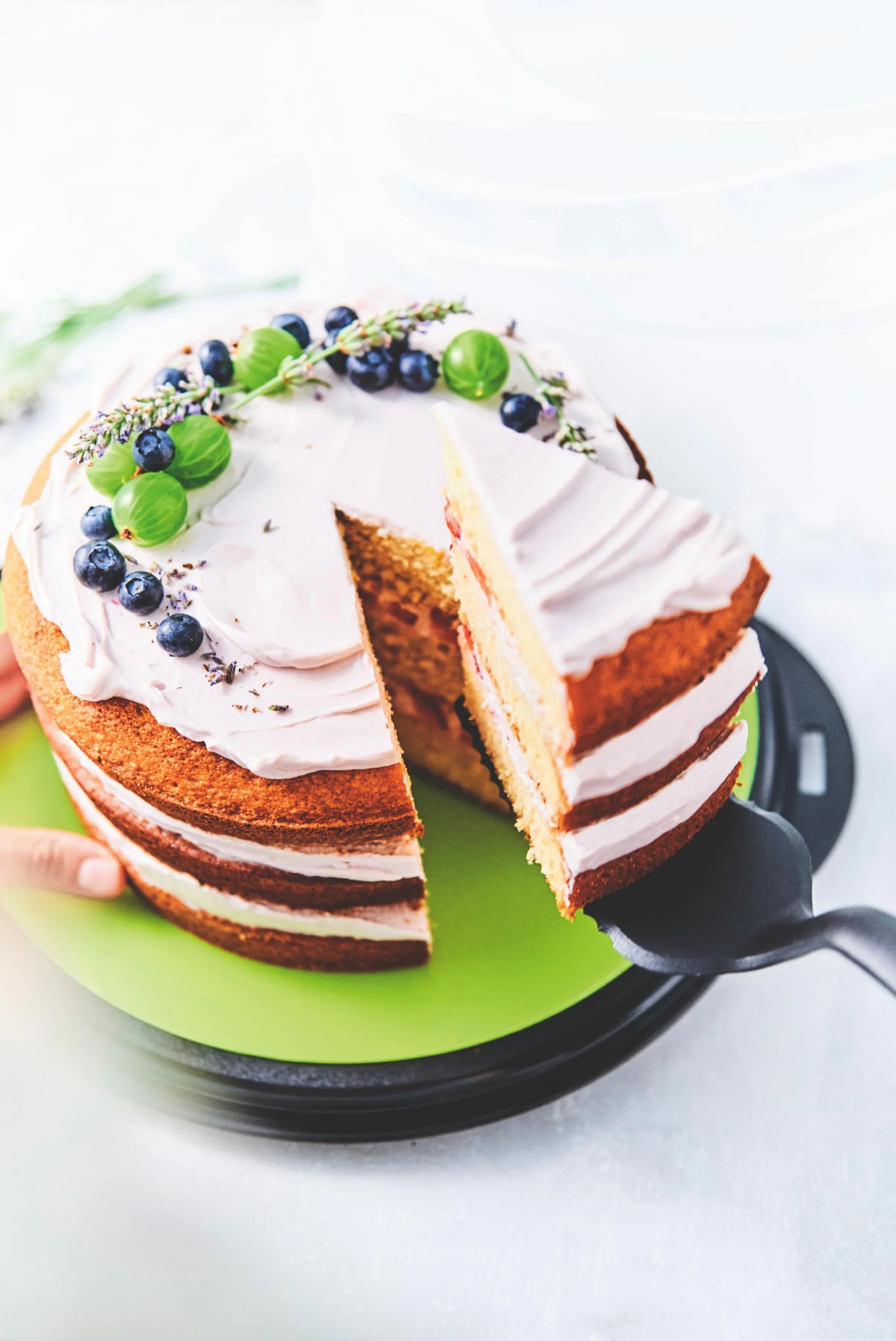 Mesterfogás Tortalapát