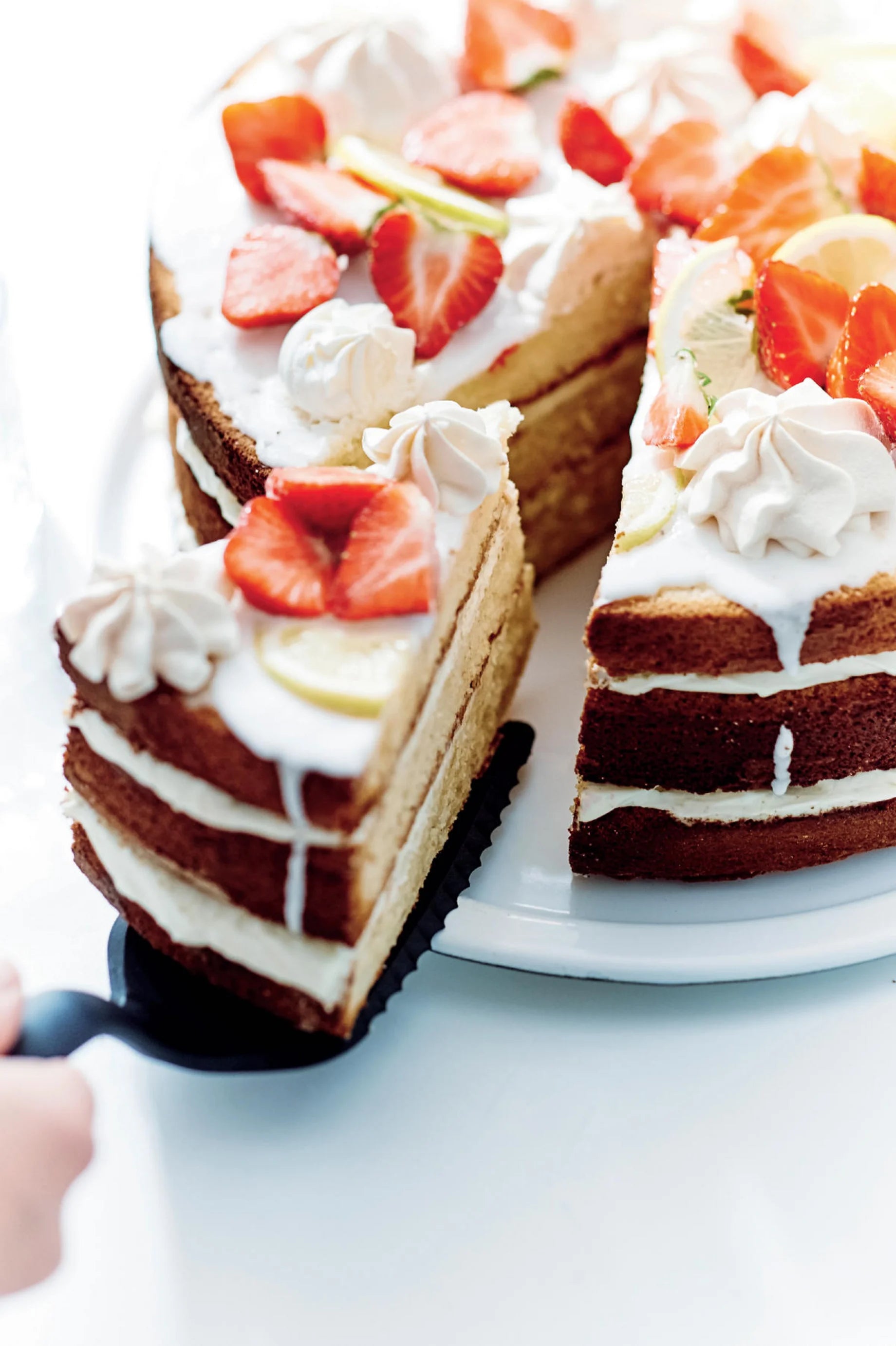 Mesterfogás Tortalapát