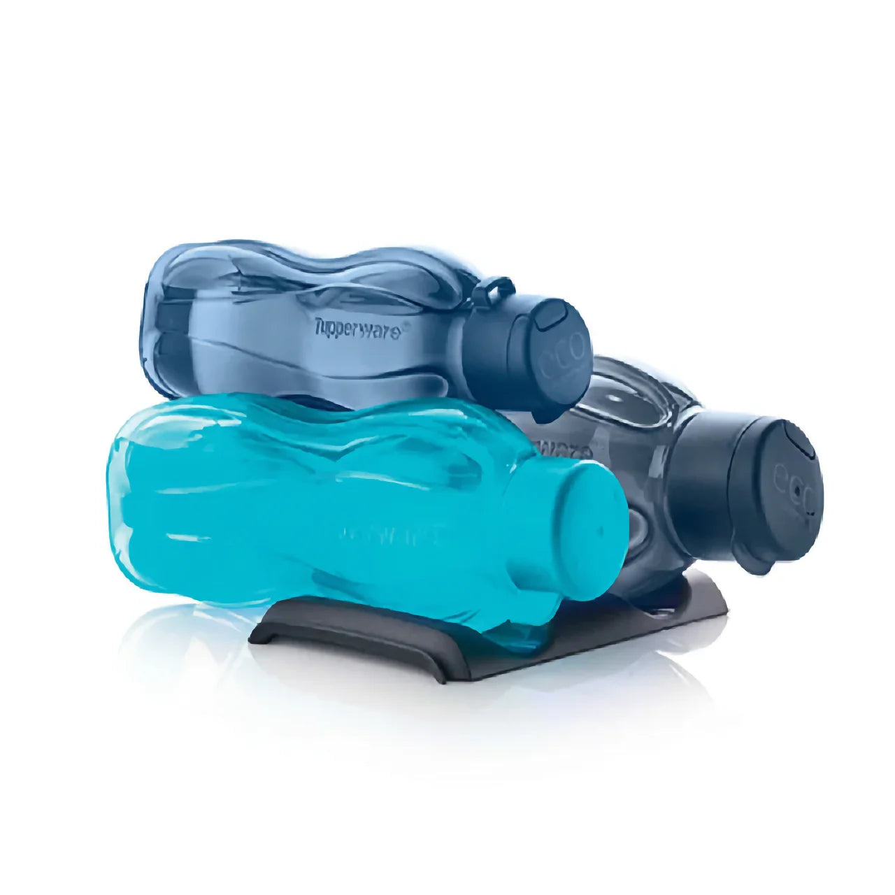 Palack- és Konzervtároló