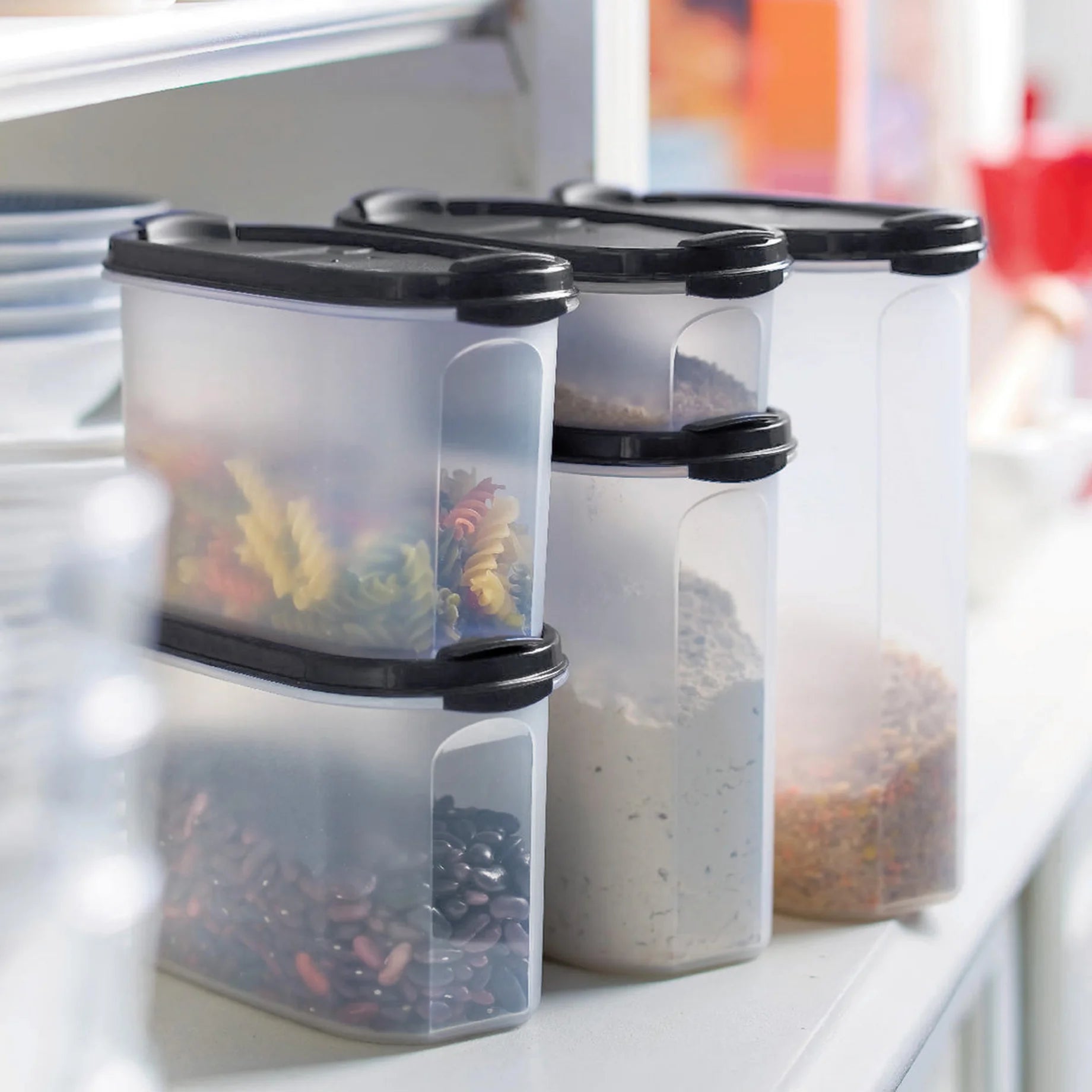 Mindent Bele V. (2,9L)