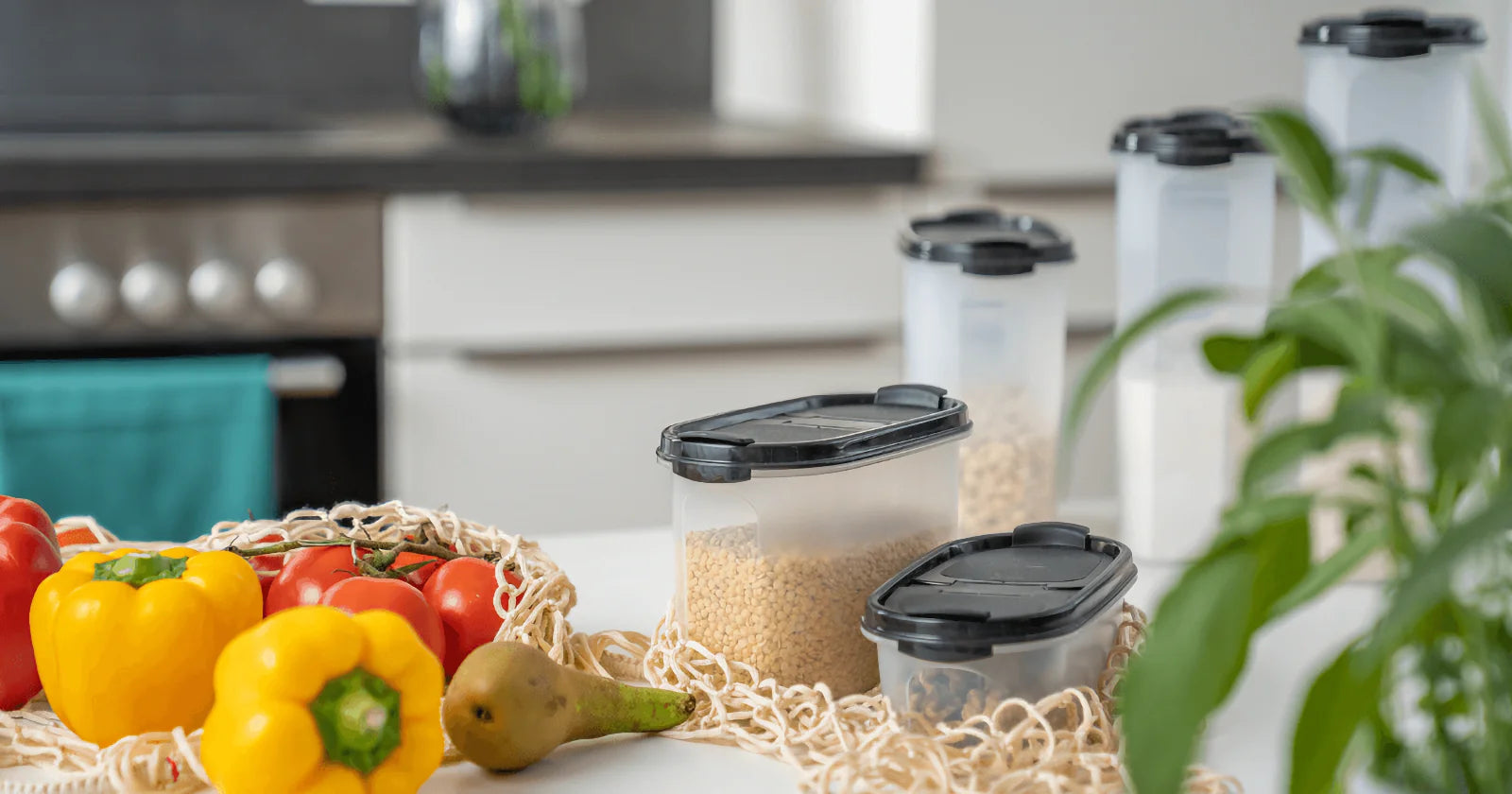 Mindent Bele V. (2,9L)