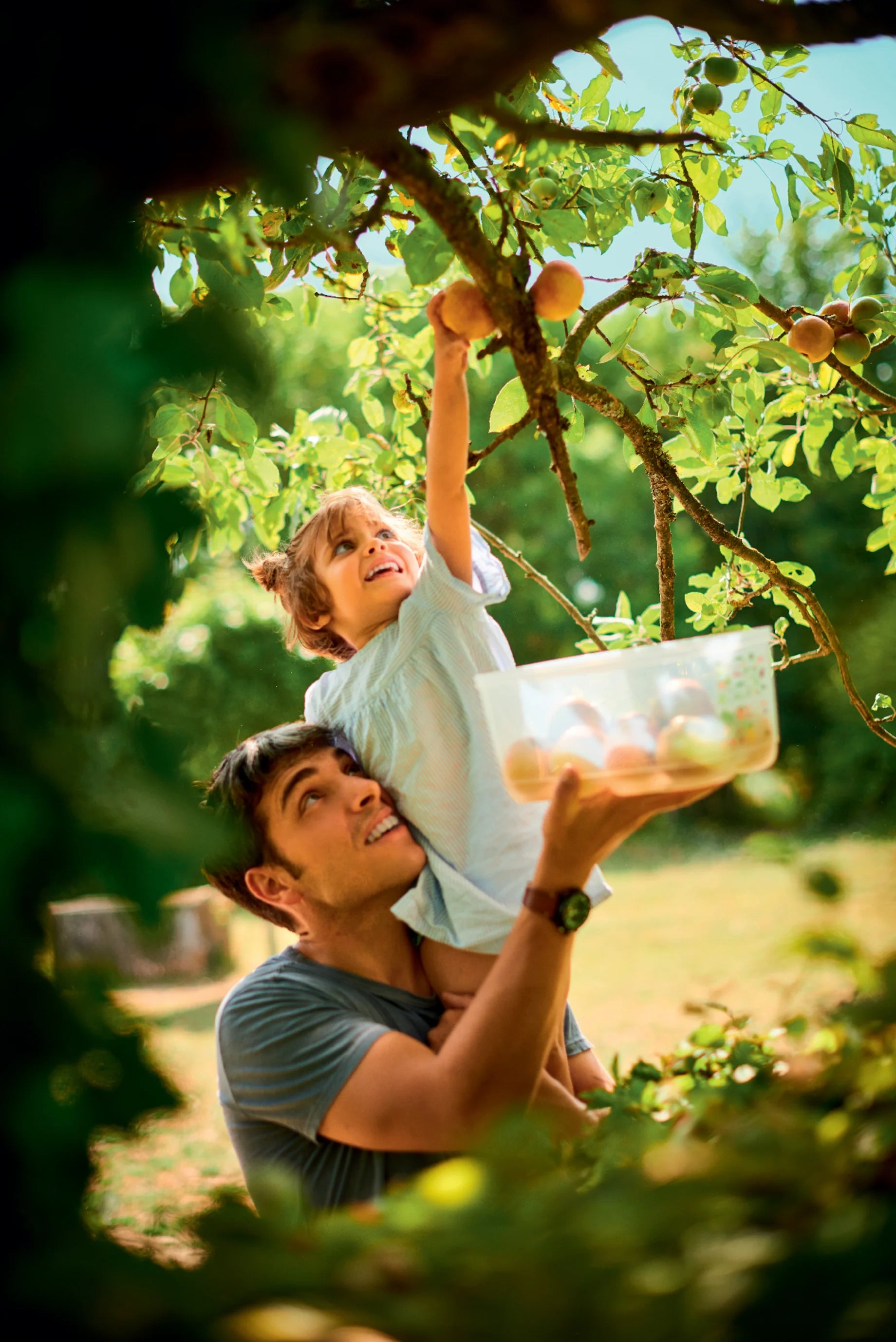Új Generációs IQ 4,4L