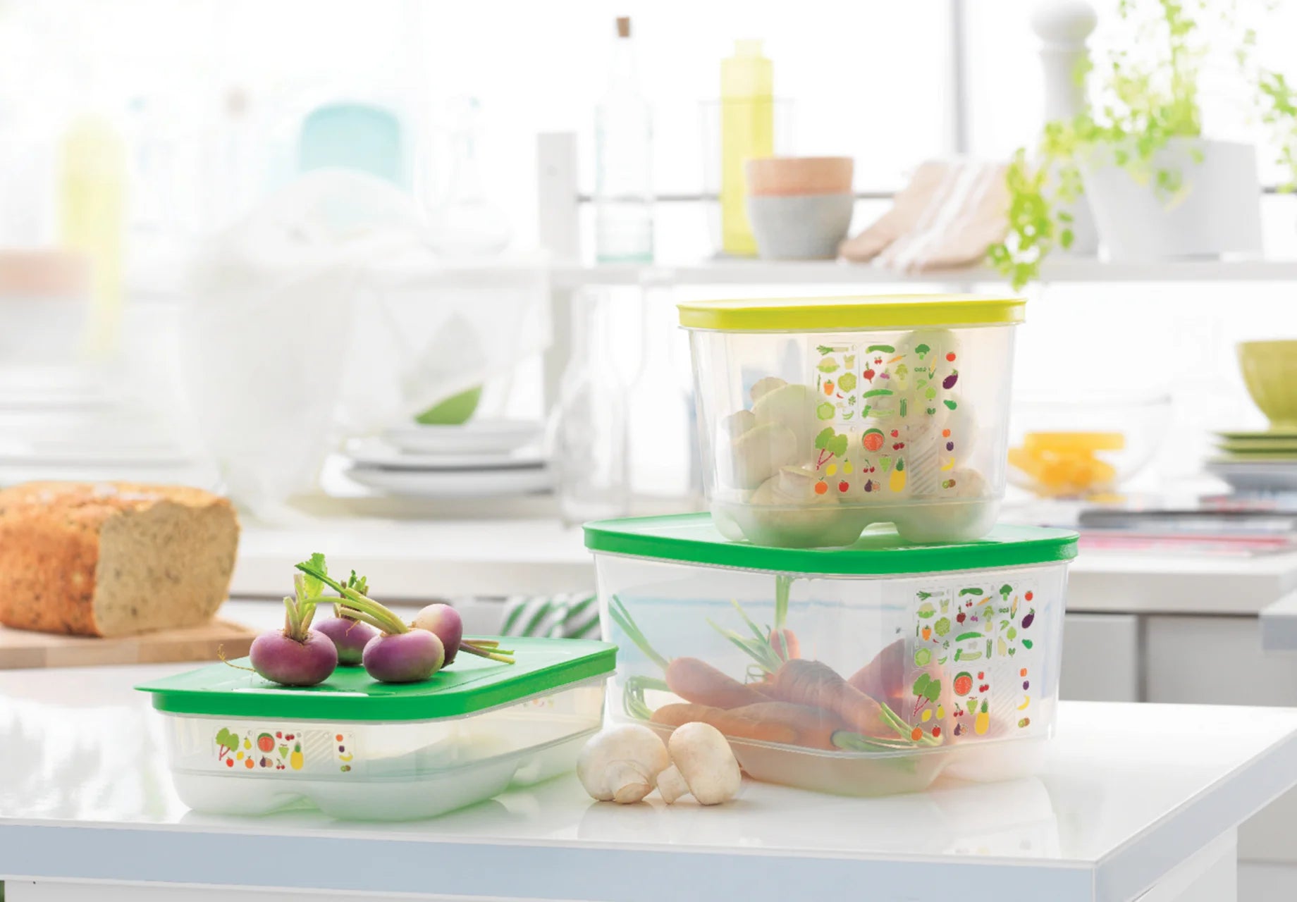 Új Generációs IQ 4,4L