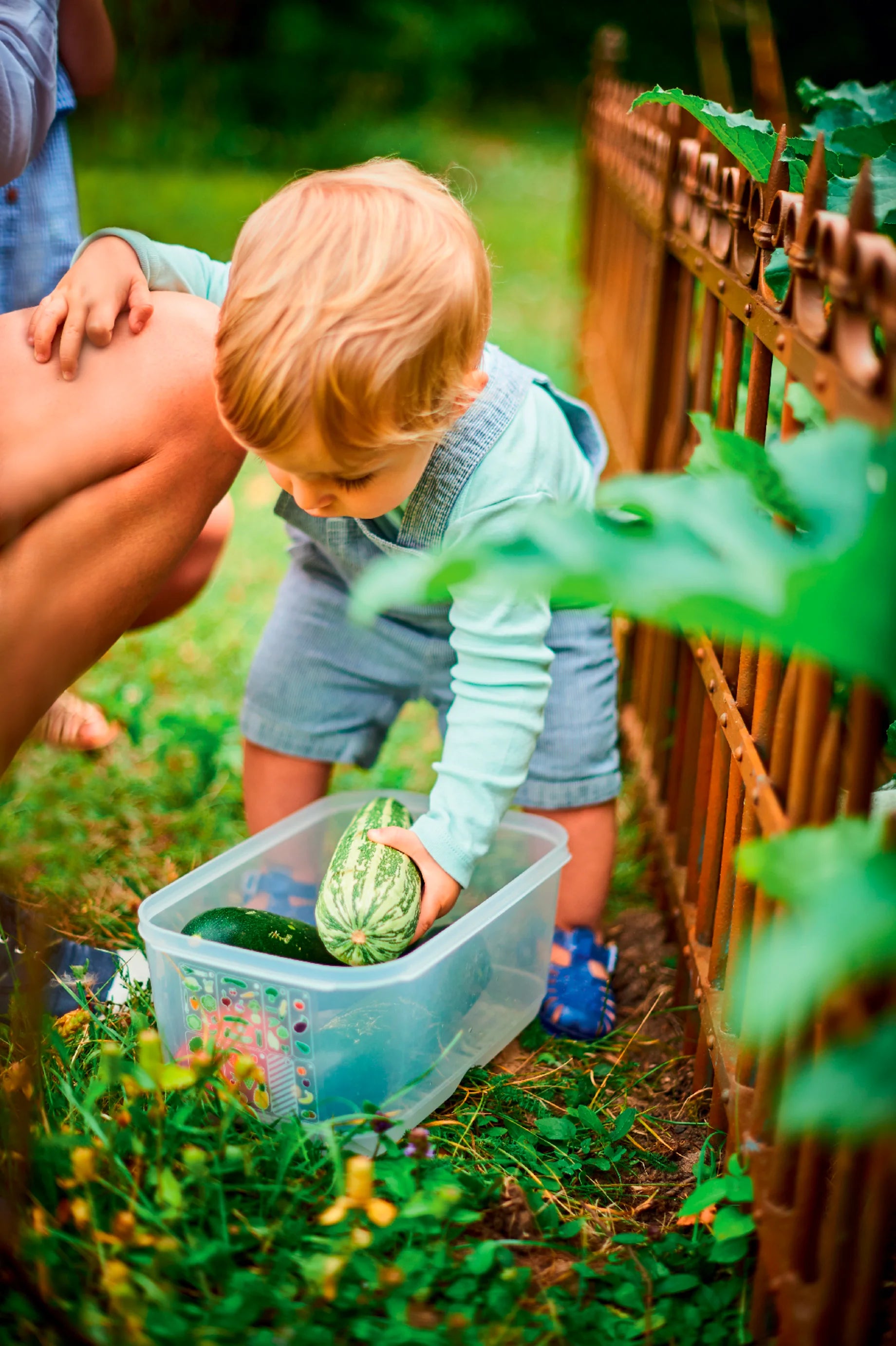 Új Generációs IQ 4,4L