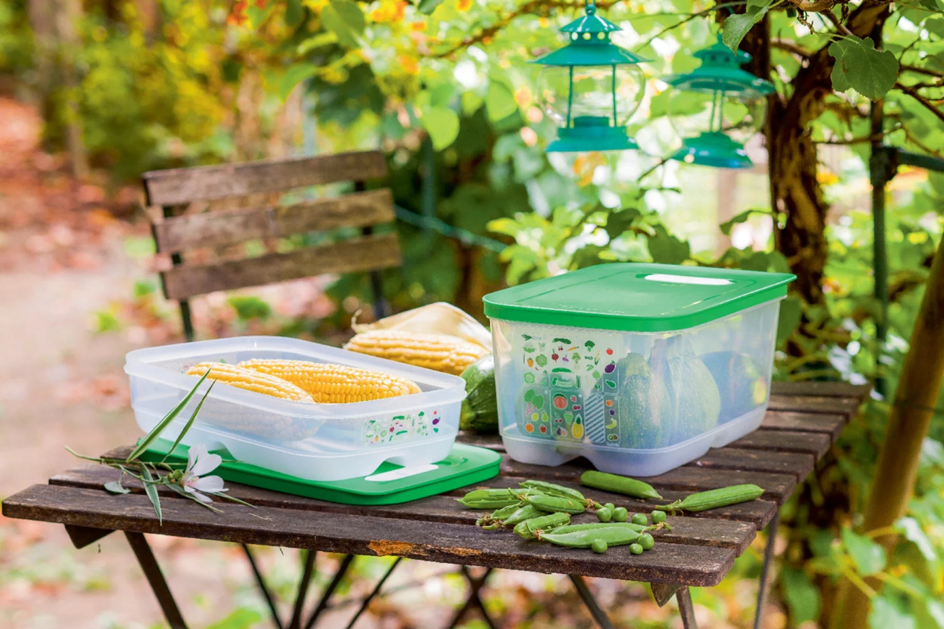 Új Generációs IQ 4,4L