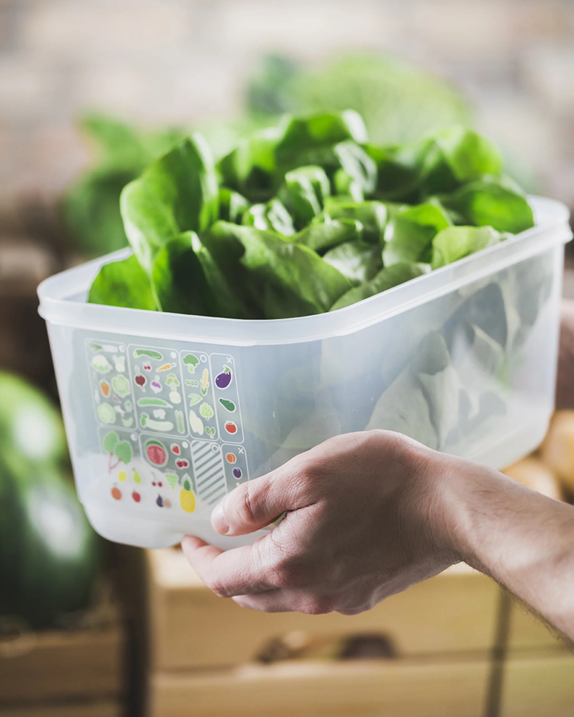 Új Generációs IQ 4,4L