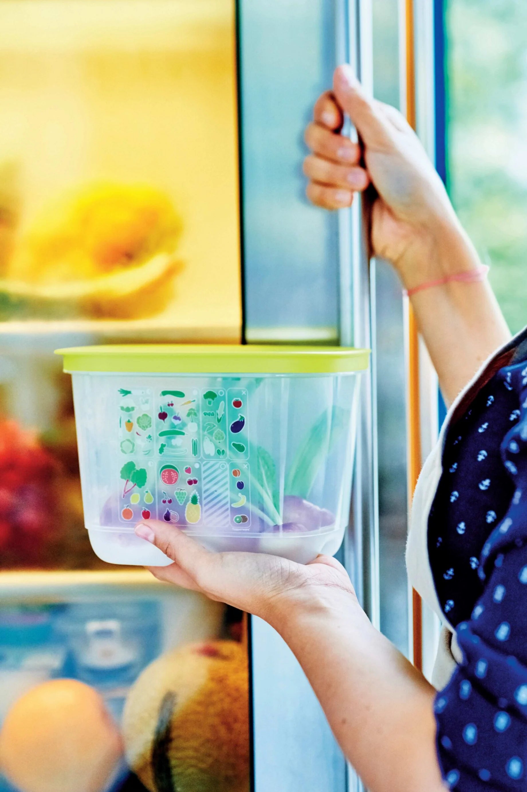 Új Generációs IQ Szett