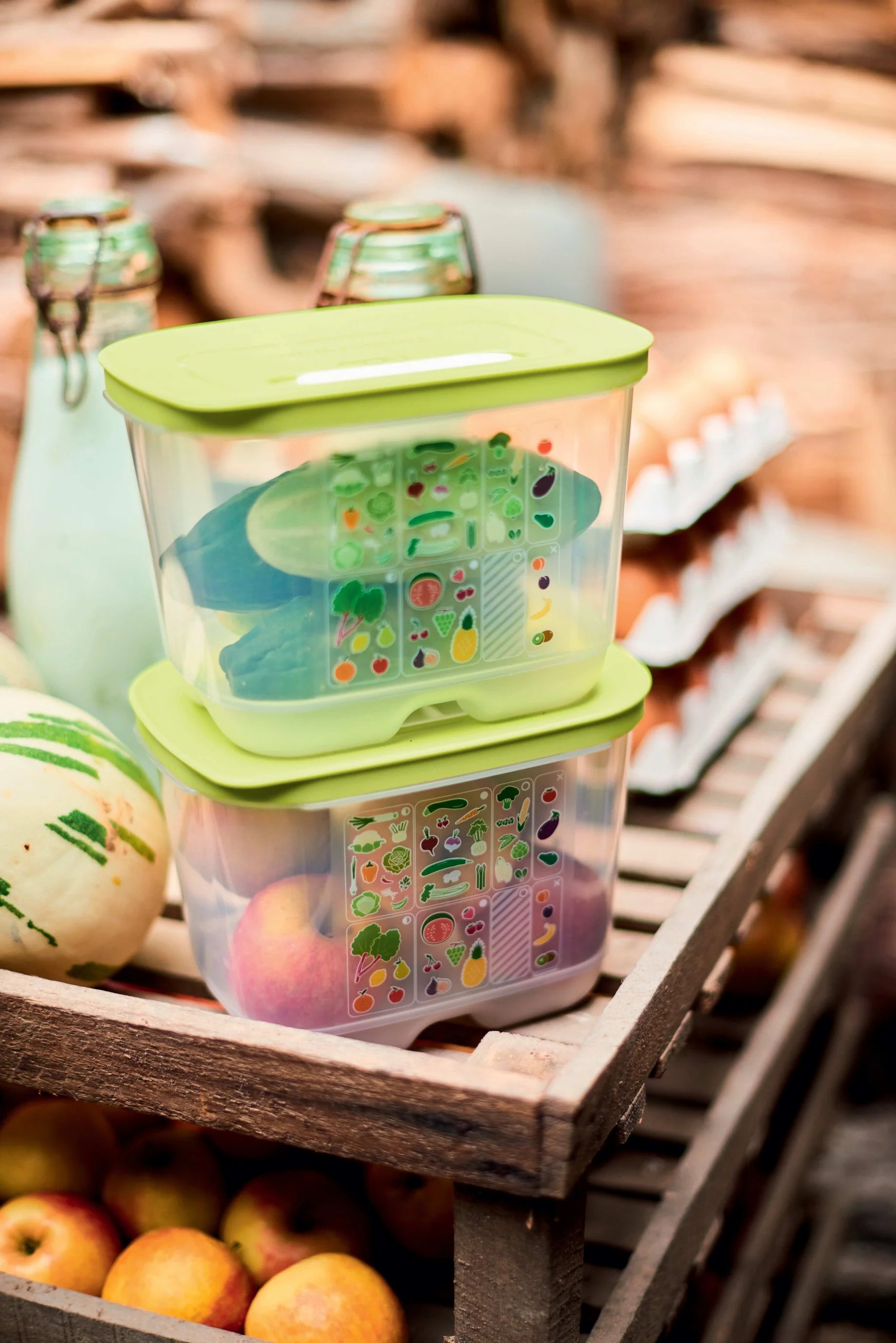 Új Generációs IQ Szett