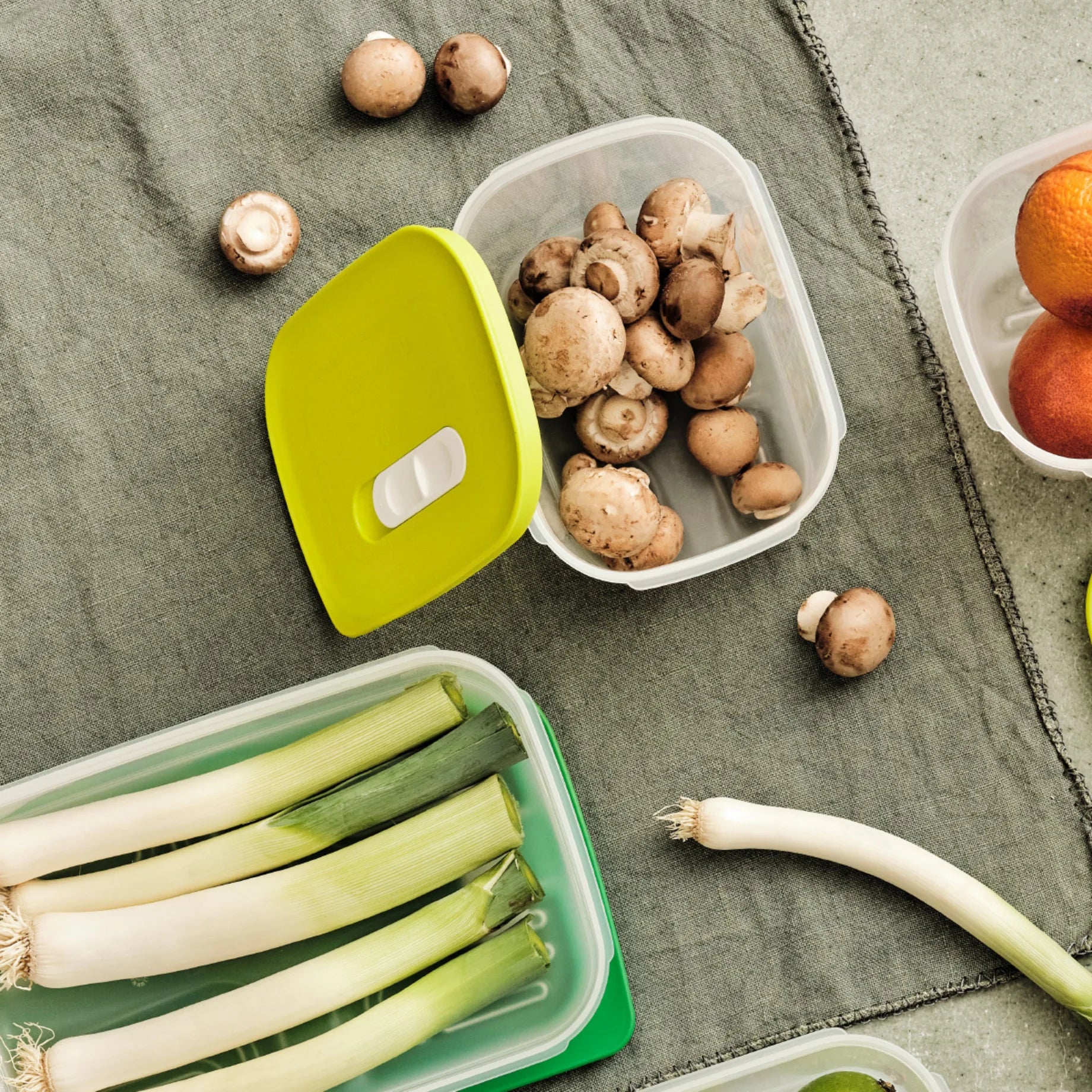 Új Generációs IQ Szett